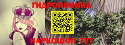a pvp Заволжье
